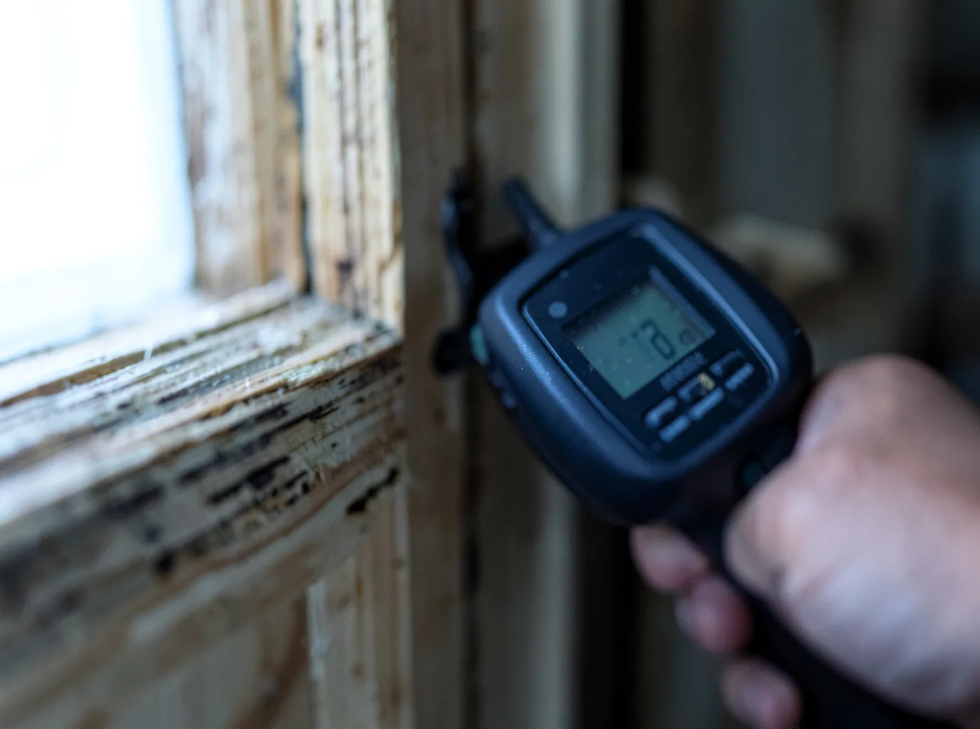Commercial Water Damage Restoration in Romeo, CO
